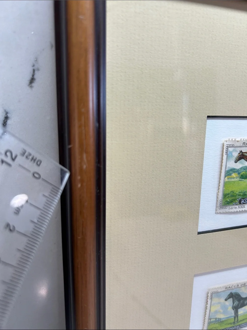 N/A framed horse